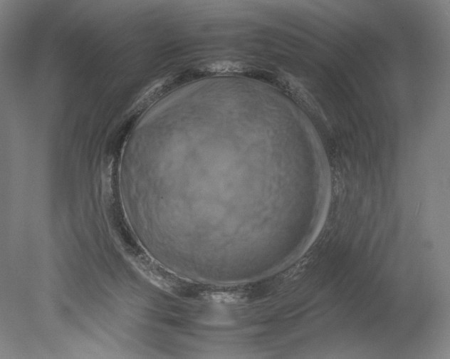 X0000080680163200701051043