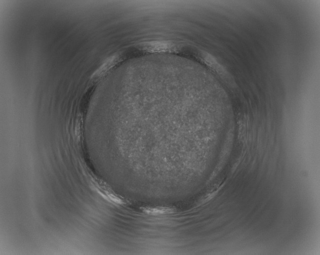 X0000080680165200701051043