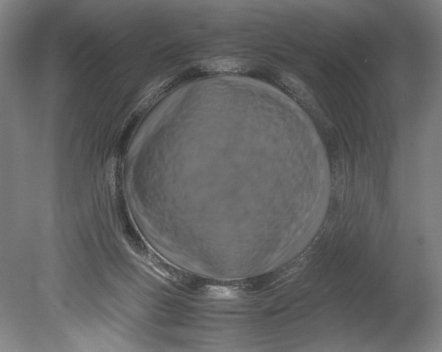 X0000080680167200701051043