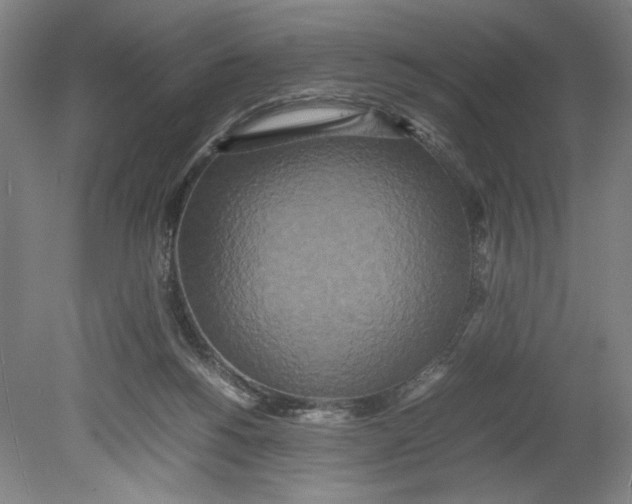 X0000080680168200701051043