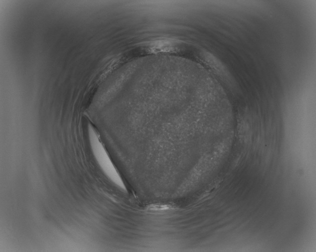 X0000080680169200701051043