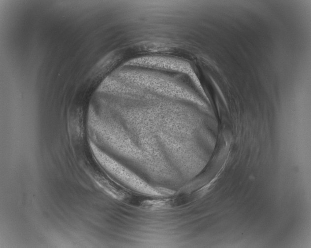 X0000080680170200701051043