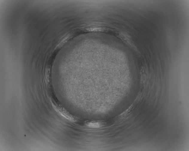 X0000080680171200701051043