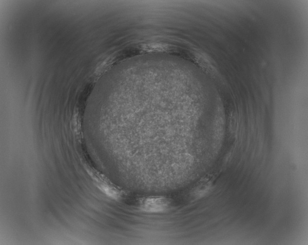 X0000080680173200701051043