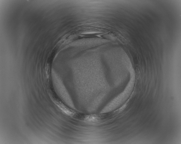 X0000080680174200701051043