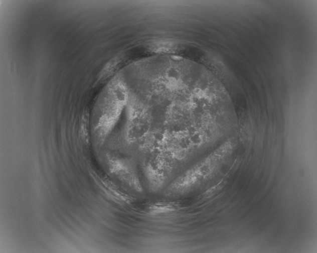 X0000080680175200701051043