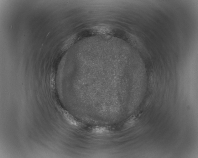 X0000080680177200701051043