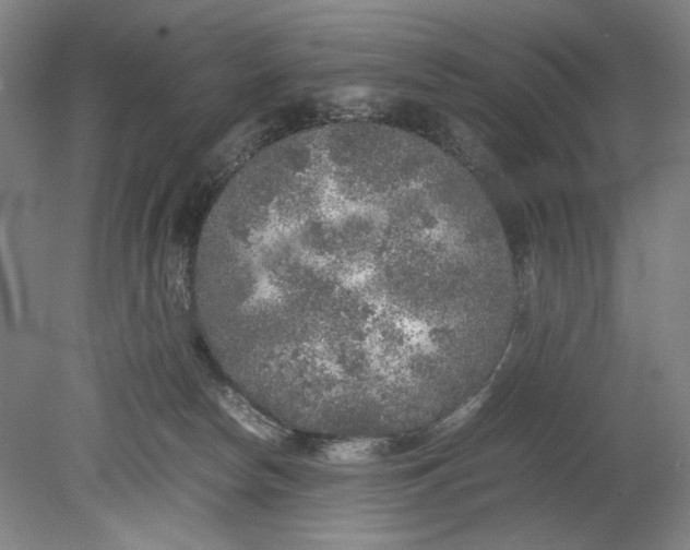 X0000080680178200701051043