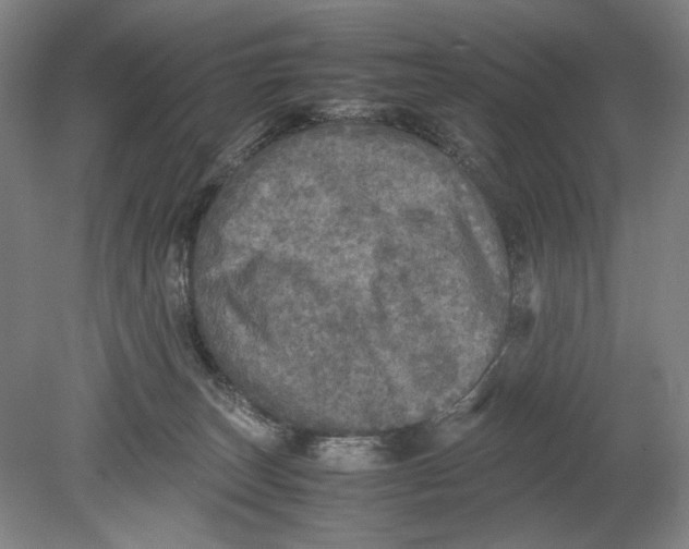 X0000080680179200701051043