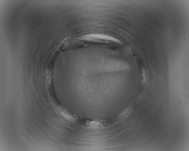 X0000080680180200701051043