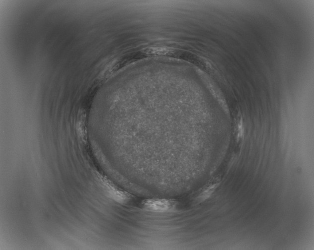 X0000080680181200701051043