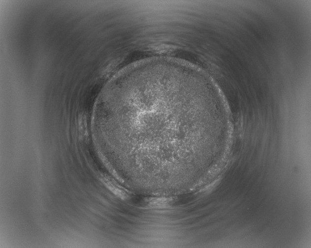 X0000080680182200701051043