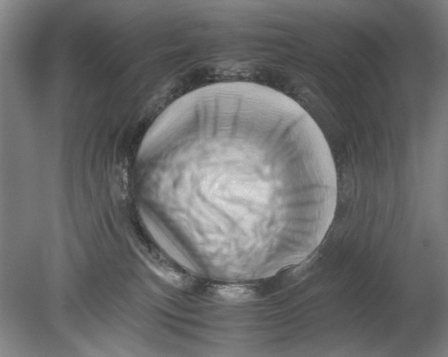 X0000080680183200701051044