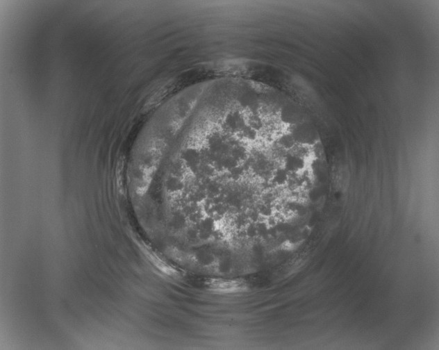 X0000080680185200701051044