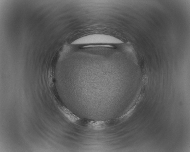 X0000080680186200701051044