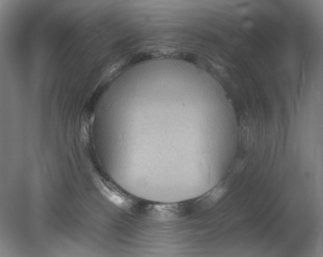 X0000080680188200701051044