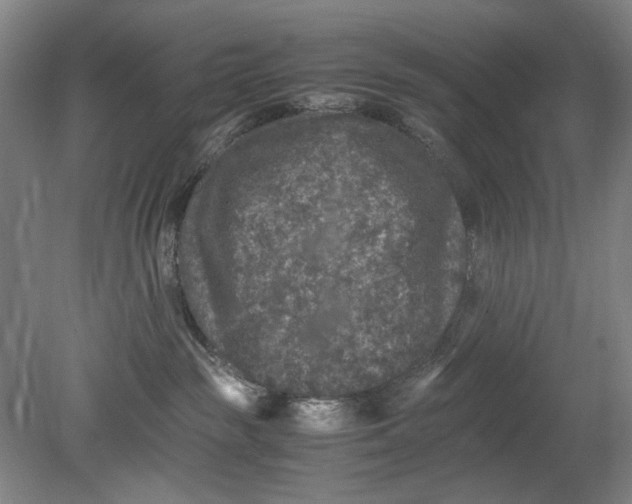 X0000080680189200701051044