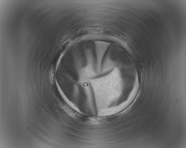 X0000080680190200701051044