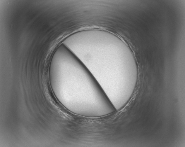 X0000080680193200701051043