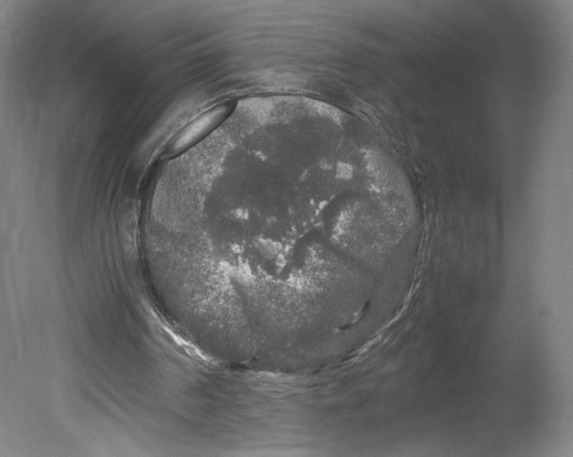 X0000080680194200701051043