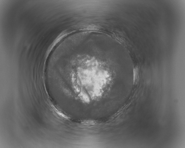 X0000080680195200701051043