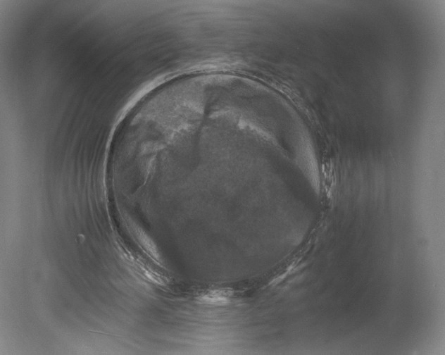 X0000080680196200701051043