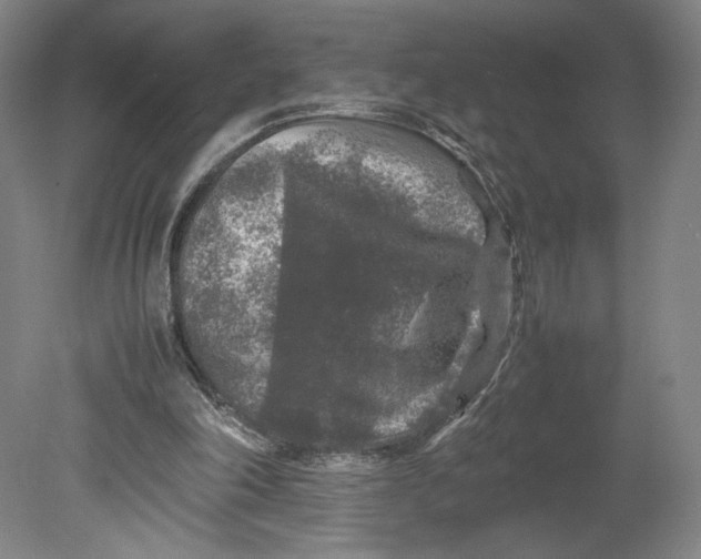 X0000080680198200701051043