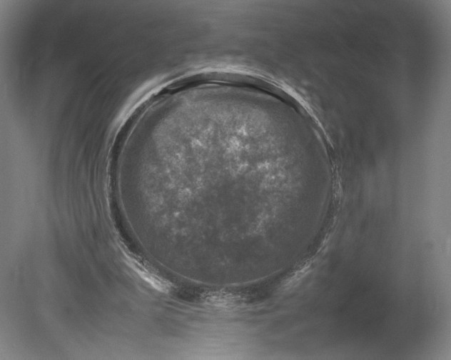 X0000080680199200701051043