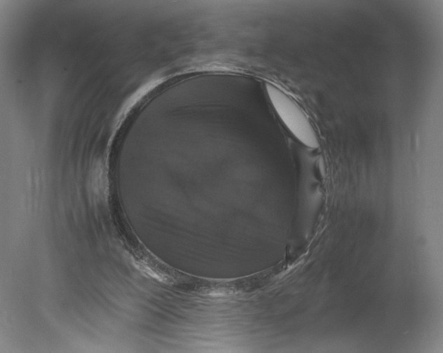 X0000080680200200701051043