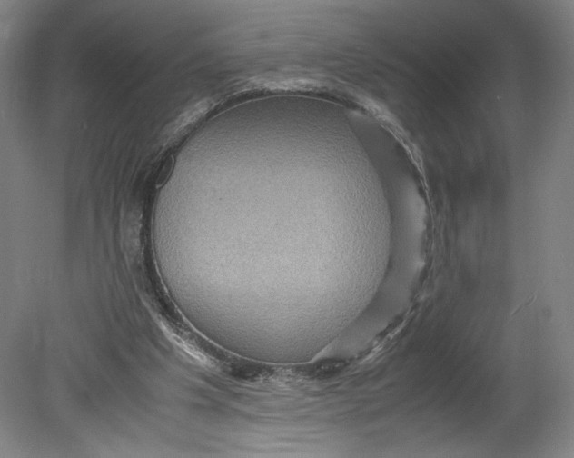 X0000080680201200701051043