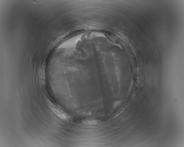 X0000080680202200701051043