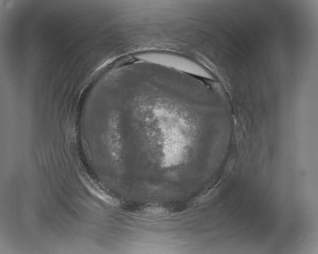 X0000080680203200701051043