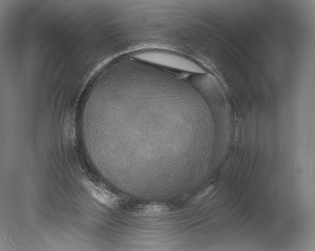 X0000080680204200701051043