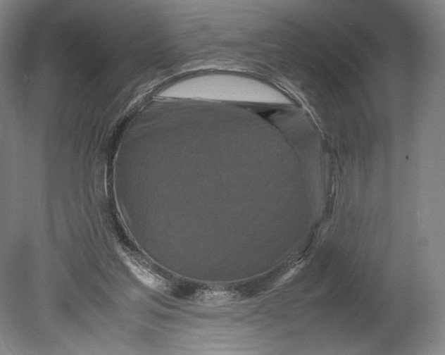 X0000080680205200701051043