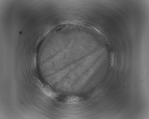 X0000080680206200701051043