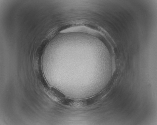 X0000080680209200701051043