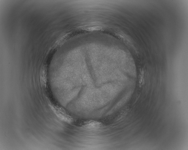 X0000080680210200701051043