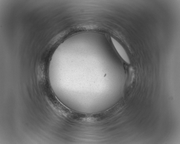 X0000080680212200701051043