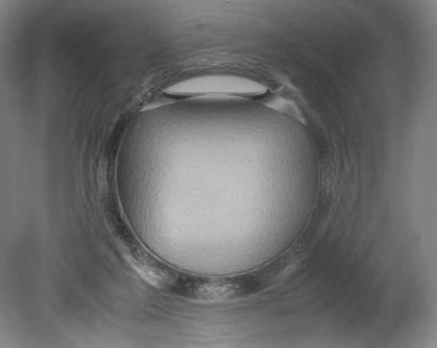 X0000080680213200701051043