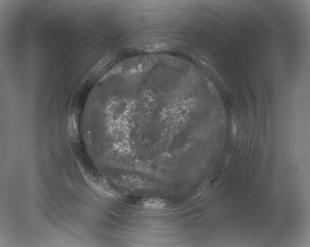 X0000080680214200701051043