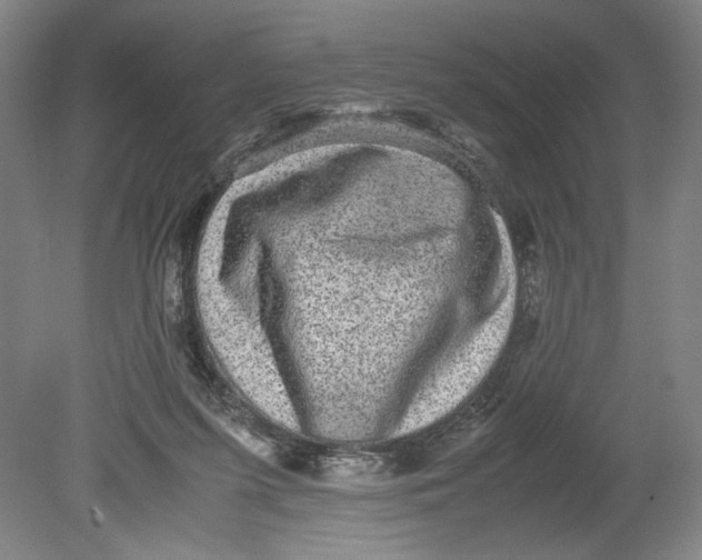 X0000080680215200701051042