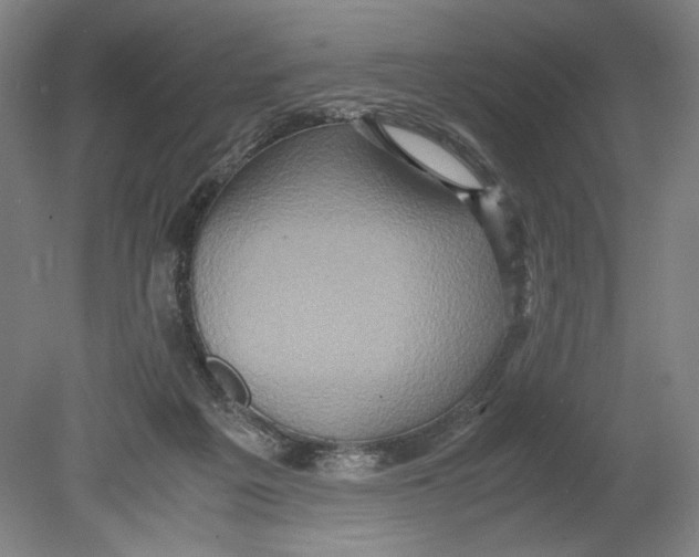 X0000080680217200701051042