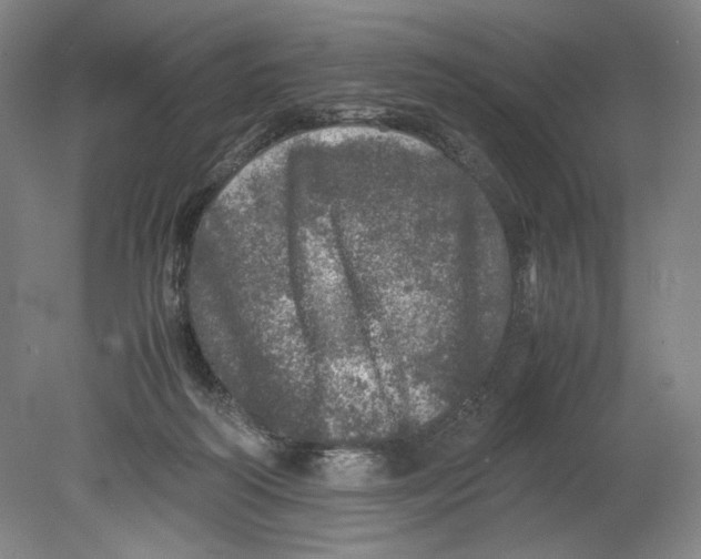 X0000080680218200701051042