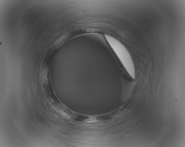 X0000080680219200701051042