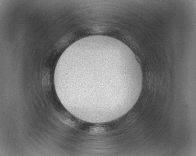 X0000080680220200701051042