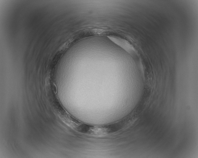 X0000080680221200701051042