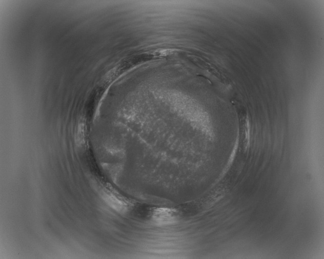 X0000080680222200701051042