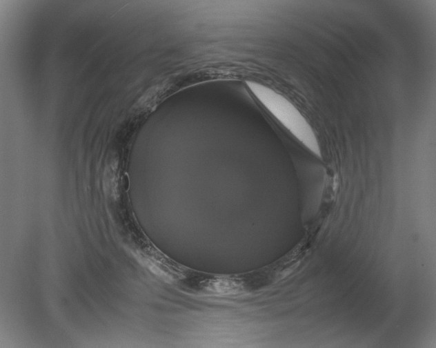 X0000080680223200701051042