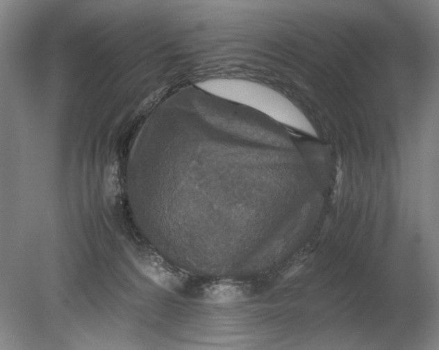 X0000080680224200701051042