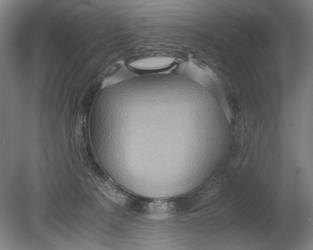 X0000080680225200701051042